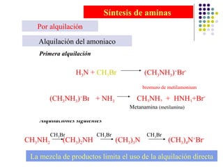 Síntesis de aminas   Por alquilación Alquilación del amoniaco Primera alquilación H 3 N +  CH 3 Br  (CH 3 NH 3 ) + Br - bromuro de metilamonium Alquilaciones siguientes (CH 3 NH 3 ) + Br - + NH 3   CH 3 NH 2   +  HNH 3 +Br - Metanamina  (metilamina) CH 3 NH 2  (CH 3 ) 2 NH  (CH 3 ) 3 N  (CH 3 ) 4 N + Br - CH 3 Br CH 3 Br CH 3 Br La mezcla de productos limita el uso de la alquilación directa 