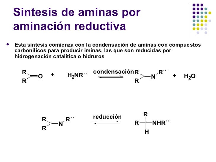 Mecanismo De Accion De Las Aminas