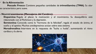 - En la Alimentación
Pescado Fresco: Contiene pequeñas cantidades de trimetilamina (TMA). Su olor
es característico pero suave.
- Neurotransmisores (Mensajeros del Cerebro):
Dopamina: Regula el placer, la motivación y el movimiento. Su desequilibrio está
relacionado con el Parkinson y la depresión.
Serotonina: Conocida como la "hormona de la felicidad", regula el estado de ánimo, el
sueño y el apetito. Muchos antidepresivos actúan sobre este sistema.
Noradrenalina: Interviene en la respuesta de "lucha o huida", aumentando el ritmo
cardíaco y la alerta.
 
