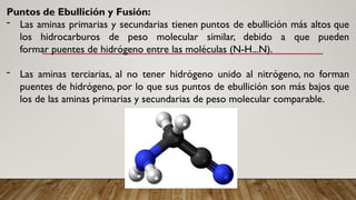Puntos de Ebullición y Fusión:
- Las aminas primarias y secundarias tienen puntos de ebullición más altos que
los hidrocarburos de peso molecular similar, debido a que pueden
formar puentes de hidrógeno entre las moléculas (N-H...N).
- Las aminas terciarias, al no tener hidrógeno unido al nitrógeno, no forman
puentes de hidrógeno, por lo que sus puntos de ebullición son más bajos que
los de las aminas primarias y secundarias de peso molecular comparable.
 