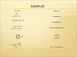 EJEMPLOS
metilamina

trimetilamina

N-metiletilamina

N-etil-N-metilpropilamina

fenilamina
(anilina)

ácido 2-aminopropanoico

 