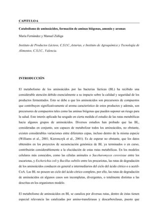 CAPITULO 6
Catabolismo de aminoácidos, formación de aminas biógenas, amonio y aromas
María Fernández y Manuel Zúñiga
Instituto de Productos Lácteos, C.S.I.C.,Asturias, e Instituto de Agroquímica y Tecnología de
Alimentos, C.S.I.C., Valencia.
INTRODUCCIÓN
El metabolismo de los aminoácidos por las bacterias lácticas (BL) ha recibido una
considerable atención debido esencialmente a su impacto sobre la calidad y seguridad de los
productos fermentados. Esto se debe a que los aminoácidos son precursores de compuestos
que contribuyen significativamente al aroma característico de estos productos y además, son
precursores de compuestos tales como las aminas biógenas que pueden suponer un riesgo para
la salud. Este interés aplicado ha sesgado en cierta medida el estudio de las rutas metabólicas
hacia algunos grupos de aminoácidos. Diversos estudios han probado que las BL,
consideradas en conjunto, son capaces de metabolizar todos los aminoácidos, no obstante,
existen considerables variaciones entre diferentes cepas, incluso dentro de la misma especie
(Williams et al., 2001; Kieronczyk et al., 2001). Es de esperar no obstante, que los datos
obtenidos en los proyectos de secuenciación genómica de BL ya terminados o en curso,
contribuirán considerablemente a la elucidación de estas rutas metabólicas. En los modelos
celulares más conocidos, como las células animales o Saccharomyces cerevisiae entre los
eucariotas, y Escherichia coli y Bacillus subtilis entre los procariotas, las rutas de degradación
de los aminoácidos conducen en general a intermediarios del ciclo del ácido cítrico o a acetil-
CoA. Las BL no poseen un ciclo del ácido cítrico completo, por ello, las rutas de degradación
de aminoácidos en algunos casos son incompletas, divergentes, o totalmente distintas a las
descritas en los organismos modelo.
El metabolismo de aminoácidos en BL se canaliza por diversas rutas, dentro de éstas tienen
especial relevancia las catalizadas por amino-transferasas y descarboxilasas, puesto que
 