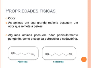 PROPRIEDADES FÍSICAS
 Odor:
 As aminas em sua grande maioria possuem um
odor que remete a peixes.
 Algumas aminas possuem odor particularmente
pungente, como o caso da putrescina e cadaverina.
 