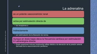 z
La adrenalina
es un potente vasoconstrictor renal
actúa por estimulación directa de
• los receptores a
Indirectamente
• por estimulación de la liberación de renina.
Aunque en dosis bajas eleva la frecuencia cardíaca por estimulación
b1-adrenérgica directa
• Dosis superiores inducen bradicardia refleja debido a la elevación de la presión arterial
derivada de la vasoconstricción periférica.
RonaldD.Miller.Anestesia.Octavaedición.Elsevier.2015.
 