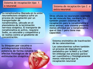 Sistema de recaptación tipo 1
o neuronal
La noradrenalina liberada en la unión
neuroefectora sináptica sufre un
proceso de recaptación por un
transportador de
noradrenalina, ubicado en el
plasmalema de la terminación
nerviosa sináptica. El transporte de
noradrenalina es activo, requiere
Sodio, es saturable y competitivo y
se realiza contra un gradiente de
concentración.

Su bloqueo por cocaína o

antidepresivos tricíclicos
potencia de forma notable los
efectos fisiológicos de la
estimulación sináptica.

Sistema de recaptación tpo 2 o
extra neuronal
Otras células no neuronales (ejemplo
las del músculo liso, cardiaco, etc.)
también poseen sistemas de
recaptación para la noradrenalina y
otras aminas; este sistema presenta
menos afinidad por a noradrenalina
que el tipo 1 pero tiene mas
capacidad.
Sistema enzimático de inactivación
de las catecolaminas
Las catecolaminas sufren también
un proceso de degradación
metabólica por la MAO y la COMT.
Sin embargo ese proceso parece
ser cuantitativa y fisiológicamente
menos relevante que la
recaptación neuronal.

 