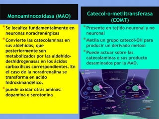 Monoaminooxidasa (MAO)

Catecol-o-metiltransferasa
(COMT)

* Se localiza fundamentalmente en

* Presente en tejido neuronal y no

* Convierte las catecolaminas en

* Metila un grupo catecol-OH para

neuronas noradrenérgicas

sus aldehídos, que
posteriormente son
metabolizados por las aldehídodeshidrogenasas en los ácidos
carboxílicos correspondientes. En
el caso de la noradrenalina se
transforma en acido
hidroximandélico.

* puede oxidar otras aminas:
dopamina o serotonina

neuronal

producir un derivado metoxi

* Puede actuar sobre las

catecolaminas o sus producto
desaminados por la MAO.

 