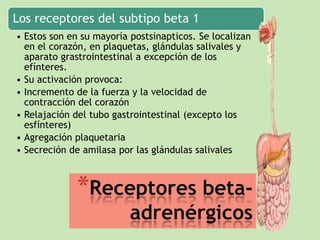 Los receptores del subtipo beta 1
• Estos son en su mayoría postsinapticos. Se localizan
en el corazón, en plaquetas, glándulas salivales y
aparato grastrointestinal a excepción de los
efínteres.
• Su activación provoca:
• Incremento de la fuerza y la velocidad de
contracción del corazón
• Relajación del tubo gastrointestinal (excepto los
esfínteres)
• Agregación plaquetaria
• Secreción de amilasa por las glándulas salivales

*Receptores beta-

adrenérgicos

 