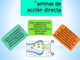 *aminas de

acción directa
Estas respuestas no se
modifican por
reserpina y se
potencian por cocaína
y denervación
quirúrgica.

 