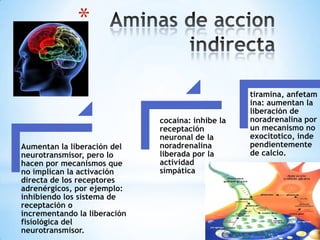 *

Aumentan la liberación del
neurotransmisor, pero lo
hacen por mecanismos que
no implican la activación
directa de los receptores
adrenérgicos, por ejemplo:
inhibiendo los sistema de
receptación o
incrementando la liberación
fisiológica del
neurotransmisor.

cocaína: inhibe la
receptación
neuronal de la
noradrenalina
liberada por la
actividad
simpática

tiramina, anfetam
ina: aumentan la
liberación de
noradrenalina por
un mecanismo no
exocitotico, inde
pendientemente
de calcio.

 