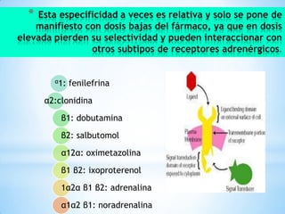 *

Esta especificidad a veces es relativa y solo se pone de
manifiesto con dosis bajas del fármaco, ya que en dosis
elevada pierden su selectividad y pueden interaccionar con
otros subtipos de receptores adrenérgicos

α1:

fenilefrina

α2:clonidina
β1: dobutamina
β2: salbutomol
α12α: oximetazolina
β1 β2: ixoproterenol
1α2α β1 β2: adrenalina
α1α2 β1: noradrenalina

 