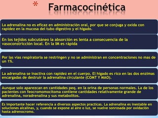 *

Farmacocinética

La adrenalina no es eficaz en administración oral, por que se conjuga y oxida con
rapidez en la mucosa del tubo digestivo y el hígado.

En los tejidos subcutáneo la absorción es lenta a consecuencia de la
vasoconstricción local. En la IM es rápida
Por las vías respiratoria se restringen y no se administran en concentraciones no mas de
un 1%.
La adrenalina se inactiva con rapidez en el cuerpo. El hígado es rico en las dos enzimas
encargadas de destruir la adrenalina circulante (COMT Y MAO).
Aunque solo aparezcan en cantidades peq. en la orina de personas normales. La de los
pacientes con feocromomocitoma contiene cantidades relativamente grande de
adrenalina, noradrenalina y sus metabolitos.
Es importante hacer referencia a diversos aspectos practicas. La adrenalina es inestable en
soluciones alcalinas, y, cuando se expone al aire o luz, se vuelve sonrosada por oxidación
hasta adrenocromo.

 