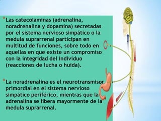 *Las catecolaminas (adrenalina,

noradrenalina y dopamina) secretadas
por el sistema nervioso simpático o la
medula suprarrenal participan en
multitud de funciones, sobre todo en
aquellas en que existe un compromiso
con la integridad del individuo
(reacciones de lucha o huida).

*La noradrenalina es el neurotransmisor
primordial en el sistema nervioso
simpático periférico, mientras que la
adrenalina se libera mayormente de la
medula suprarrenal.

 