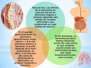 Músculo liso. Los efectos
de la adrenalina en
músculo liso de los
diferentes órganos y
sistemas dependen del
subtipo de receptor
adrenérgico que
predominen en cada
subtipo de músculo.
En el aparato
gastrointestinal. La
adrenalina
generalmente relaja,
efecto ∞ y β en los
esfínteres pilórico e
ileocecal, la acción
depende de el tono
preexistente, es
decir, si el tono era
alto antes de
administrada la
adrenalina, se
produce relajación y
viceversa.

En los bronquios. La
adrenalina produce
intensa dilatación,
acción β2; este efecto
es mas evidente
cuando existe una
enfermedad de base
que causa
broncocosntricción,
como el asma.

 