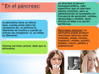 *
la adrenalina tiene un efecto
dual, cuando actúa sobre los
receptores β2, se estimula la
liberación de insulina y cuando se
activan los receptores ∞2, se inhibe
su liberación.

Sistema nervioso central: dado que la
adrenalina.

no atraviesa la barrera
hematoencefálica, cabe
especificar que no ejerciera
efectos centrales, pero su
administración se acompaña con
frecuencia de aprensión, cefalea,
desasosiego y temblor, estos
efectos se debe a su acción
periféricas.
Reacciones adversas: La
adrenalina puede producir
reacciones adversas como
ansiedad, miedo, tensión,
inquietud, cefalea, pulsátil,
temblor, mareo, palidez y
palpitaciones

 