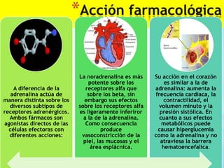*Acción farmacológica

A diferencia de la
adrenalina actúa de
manera distinta sobre los
diversos subtipos de
receptores adrenérgicos.
Ambos fármacos son
agonistas directos de las
células efectoras con
diferentes acciones:

La noradrenalina es más
potente sobre los
receptores alfa que
sobre los beta, sin
embargo sus efectos
sobre los receptores alfa
es ligeramente inferiror
a la de la adrenalina.
Como consecuencia
produce
vasoconstricción de la
piel, las mucosas y el
área esplácnica.

Su acción en el corazón
es similar a la de
adrenalina: aumenta la
frecuencia cardíaca, la
contractilidad, el
volumen minuto y la
presión sistólica. En
cuanto a sus efectos
metabólicos puede
causar hiperglucemia
como la adrenalina y no
atraviesa la barrera
hematoencefalica.

 