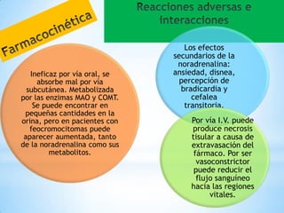 Ineficaz por vía oral, se
absorbe mal por vía
subcutánea. Metabolizada
por las enzimas MAO y COMT.
Se puede encontrar en
pequeñas cantidades en la
orina, pero en pacientes con
feocromocitomas puede
aparecer aumentada, tanto
de la noradrenalina como sus
metabolitos.

Los efectos
secundarios de la
noradrenalina:
ansiedad, disnea,
percepción de
bradicardia y
cefalea
transitoria.
Por vía I.V. puede
produce necrosis
tisular a causa de
extravasación del
fármaco. Por ser
vasoconstrictor
puede reducir el
flujo sanguíneo
hacia las regiones
vitales.

 