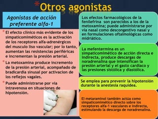*Otros agonistas
Agonistas de acción
preferente alfa-1
* El efecto clínico más evidente de los

simpaticomiméticos es la activación
de los receptores alfa-adrenérgicos
del musculo liso vascular; por lo tanto,
aumentan las resistencias periféricas
e incrementan la presión arterial.

* La metoxamina produce incremento

de la presión arterial, acompañado de
bradicardia sinusal por activacion de
los reflejos vagales.

* Puede administrarse por vía

intravenosa en situaciones de
hipotensión.

Los efectos farmacológicos de la
fenilefrina son parecidos a los de la
metoxamina; puede administrarse por
vía nasal como descongestivo nasal y
en formulaciones oftalmológicas como
midriático.
La mefentermina es un
simpaticomimético de acción directa e
indirecta, produce descargas de
noradrenalina que intensifican la
presión arterial y el gasto cardiaco y
las presiones sistólica y diastólica.
Se emplea para prevenir la hipotensión
durante la anestesia raquídea.
El metaraminol también actúa como
simpaticomimético directo sobre los
receptores alfa-1 vasculares e indirecta,
estimulando la descarga de noradrenalina.

 
