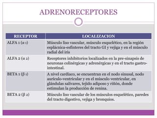 ADRENORECEPTORES
RECEPTOR LOCALIZACION
ALFA 1 (α 1) Músculo liso vascular, músculo esquelético, en la región
esplácnica-esfínteres del tracto GI y vejiga y en el músculo
radial del iris
ALFA 2 (α 2) Receptores inhibitorios localizados en la pre-sinapsis de
neuronas colinérgicas y adrenérgicas y en el tracto gastro-
intestinal.
BETA 1 (β 1) A nivel cardíaco, se encuentran en el nodo sinusal, nodo
aurículo-ventricular y en el músculo ventricular, en
glándulas salivares, tejido adiposo y riñón, donde
estimulan la producción de renina.
BETA 2 (β 2) Músculo liso vascular de los músculos esquelético, paredes
del tracto digestivo, vejiga y bronquios.
 