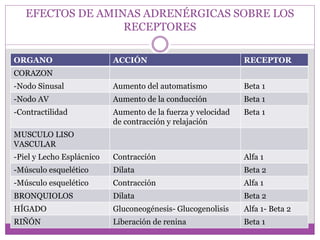 EFECTOS DE AMINAS ADRENÉRGICAS SOBRE LOS
RECEPTORES
ORGANO ACCIÓN RECEPTOR
CORAZON
-Nodo Sinusal Aumento del automatismo Beta 1
-Nodo AV Aumento de la conducción Beta 1
-Contractilidad Aumento de la fuerza y velocidad
de contracción y relajación
Beta 1
MUSCULO LISO
VASCULAR
-Piel y Lecho Esplácnico Contracción Alfa 1
-Músculo esquelético Dilata Beta 2
-Músculo esquelético Contracción Alfa 1
BRONQUIOLOS Dilata Beta 2
HÍGADO Gluconeogénesis- Glucogenolisis Alfa 1- Beta 2
RIÑÓN Liberación de renina Beta 1
 