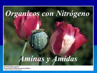 Organicos con Nitrógeno Aminas y Amidas 