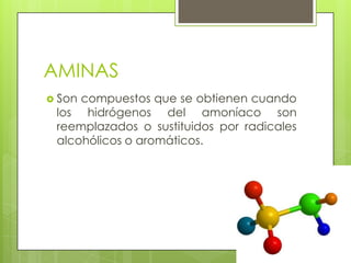 AMINAS
 Son compuestos que se obtienen cuando
los hidrógenos del amoníaco son
reemplazados o sustituidos por radicales
alcohólicos o aromáticos.
 
