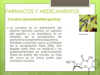 FARMACOS Y MEDICAMENTOS
Cocaína (benzoilmetilecgonina)
 La cocaína es un estimulante del
sistema nervioso central, un supresor
del apetito, y un anestésico. Es un
inhibidor de la recaptación de
serotonina-norepinefrina-dopamina
(también conocido como un inhibidor
de la recaptación triple (TRI)). Son
ilegales para fines no médicos y no
gubernamentales en prácticamente
todas las partes del mundo. La hoja
de coca es la única parte que
contiene cocaína.
Planta de coca
 