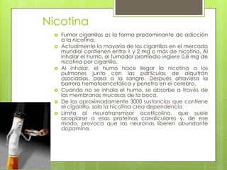 Nicotina
 Fumar cigarrillos es la forma predominante de adicción
a la nicotina.
 Actualmente la mayoría de los cigarrillos en el mercado
mundial contienen entre 1 y 2 mg o más de nicotina. Al
inhalar el humo, el fumador promedio ingiere 0,8 mg de
nicotina por cigarrillo.
 Al inhalar, el humo hace llegar la nicotina a los
pulmones junto con las partículas de alquitrán
asociadas, pasa a la sangre. Después atraviesa la
barrera hematoencefálica y penetra en el cerebro.
 Cuando no se inhala el humo, se absorbe a través de
las membranas mucosas de la boca.
 De las aproximadamente 3000 sustancias que contiene
el cigarrillo, solo la nicotina crea dependencia
 Limita al neurotransmisor acetilcolina, que suele
acoplarse a esas proteínas canaliculares y, de ese
modo, provoca que las neuronas liberen abundante
dopamina.
 