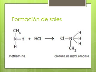 Formación de sales
 