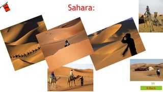 39 
Sahara: 
Back 
 