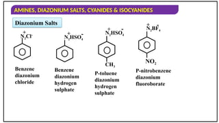 AMINES, DIAZONIUM SALTS, CYANIDES & ISOCYANIDES
Diazonium Salts
N2Cl-
+
Benzene
diazonium
chloride
Benzene
diazonium
hydrogen
sulphate
P-toluene
diazonium
hydrogen
sulphate
P-nitrobenzene
diazonium
fluoroborate
+ -
N2HSO4
+ -
N2HSO4
CH3
+ -
N2BF4
NO2
 