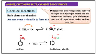 AMINES, DIAZONIUM SALTS, CYANIDES & ISOCYANIDES
Chemical Reactions
Basic character of amines
Amines react with acids to form salts.
R  NH2 + HX
.. + 
NH2
+ HCl
NH3Cl
.. + 
Aniline Anilinium chloride
Difference in electronegativity between
nitrogen and hydrogen atoms and the
presence of unshared pair of electrons
over the nitrogen atom makes amines
reactive.
R  NH3X (Salt)
 