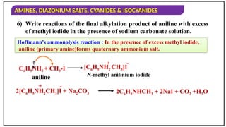AMINES, DIAZONIUM SALTS, CYANIDES & ISOCYANIDES
6) Write reactions of the final alkylation product of aniline with excess
of methyl iodide in the presence of sodium carbonate solution.
C6H5NH2 + CH3-I [C6H5NH2 CH3]I
N-methyl anilinium iodide
aniline


-
+
2[C6H5NH2CH3]I + Na2CO3
+ -
2C6H5NHCH3 + 2NaI + CO2 +H2O
Hoffmann’s ammonolysis reaction : In the presence of excess methyl iodide,
aniline (primary amine)forms quaternary ammonium salt.
 