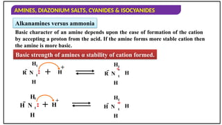 AMINES, DIAZONIUM SALTS, CYANIDES & ISOCYANIDES
Alkanamines versus ammonia
Basic character of an amine depends upon the ease of formation of the cation
by accepting a proton from the acid. If the amine forms more stable cation then
the amine is more basic.
R  N

H
H

+ H
+

R  N

H
H

H
H  N

H
H

..
..
+

H  N

H
H

H
H
+
+
+
Basic strength of amines α stability of cation formed.
 