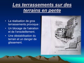 Les terrassements sur des
terrains en pente
• La réalisation de gros
terrassements provoque :
• Un blocage de l’aération
et de l’ensoleillement.
• Une déstabilisation du
terrain et un danger de
glissement.
 