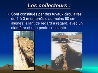 Les collecteurs :
• Sont constitués par des tuyaux circulaires
de 1 à 3 m enterrés d’au moins 80 cm
alignés, allant de regard à regard, avec un
diamètre et une pente constante.
 