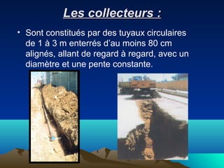 Les collecteurs :Les collecteurs :
• Sont constitués par des tuyaux circulaires
de 1 à 3 m enterrés d’au moins 80 cm
alignés, allant de regard à regard, avec un
diamètre et une pente constante.
 