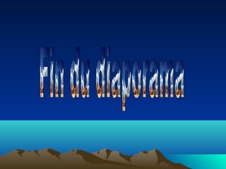 Amine exposé terrassement et vrd