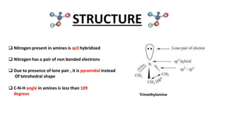 amine presentation organic chemistry.pptx