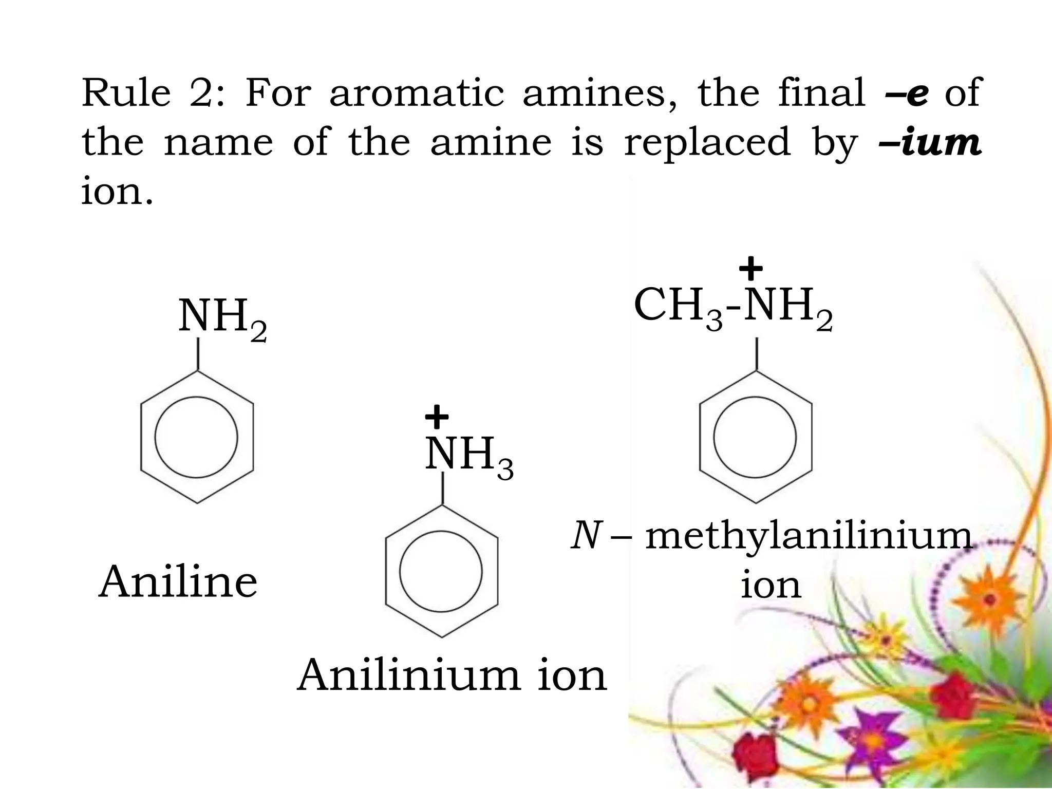 Amines | PPTX