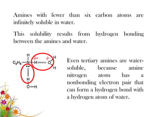 Amines with fewer than six carbon atoms are
infinitely soluble in water.
This solubility results from hydrogen bonding
between the amines and water.


                  Even tertiary amines are water-
                  soluble,     because     amine
                  nitrogen     atom     has    a
                  nonbonding electron pair that
                  can form a hydrogen bond with
                  a hydrogen atom of water.
 