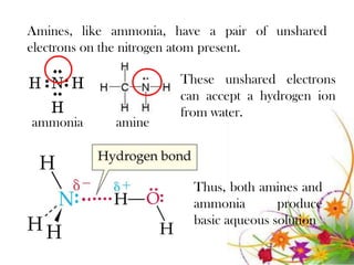 Amines, like ammonia, have a pair of unshared
electrons on the nitrogen atom present.

                       These unshared electrons
                       can accept a hydrogen ion
                       from water.
ammonia      amine



                         Thus, both amines and
                         ammonia        produce
                         basic aqueous solution
 