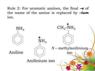 Rule 2: For aromatic amines, the final –e of
the name of the amine is replaced by –ium
ion.
                                +
    NH2                    CH3-NH2

                +
                NH3
                       N – methylanilinium
Aniline                        ion

          Anilinium ion
 