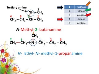 Tertiary amine                       1   methane
                     1               2   ethane
                 NH – CH3
                                     3   propane
  4      3       2   1
  CH3 – CH2 – CH – CH3               4   butane
                                     5   pentane

      N- Methyl- 2- butanamine
              1
              CH3
  2      1               1   2   3
  CH3 – CH2 – N – CH2 – CH2 – CH3

       N- Ethyl- N- methyl- 1-propanamine
 