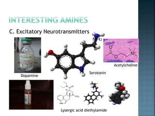 C. Excitatory Neurotransmitters
Lysergic acid diethylamide
Dopamine
Serotonin
Acetylcholine
 
