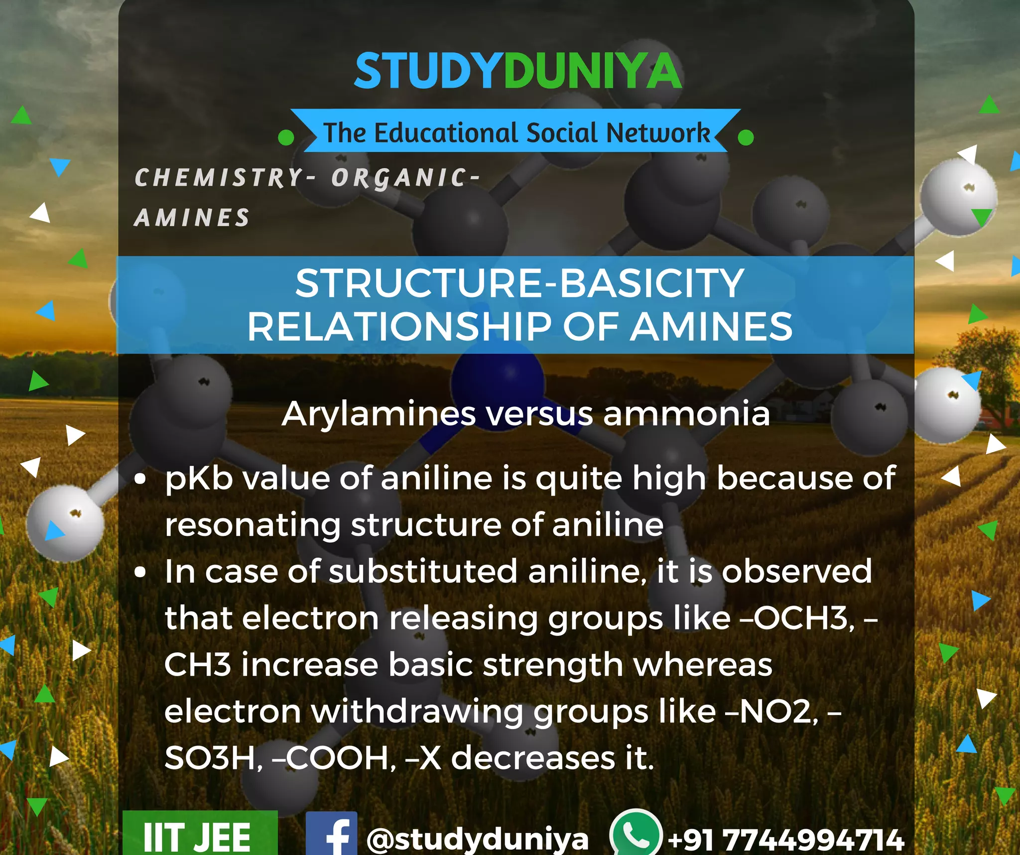 Amines & Diazonium Salts | PDF