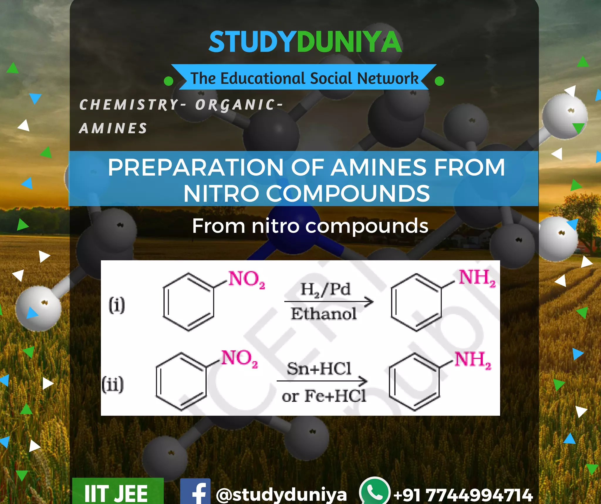 Amines & Diazonium Salts | PDF