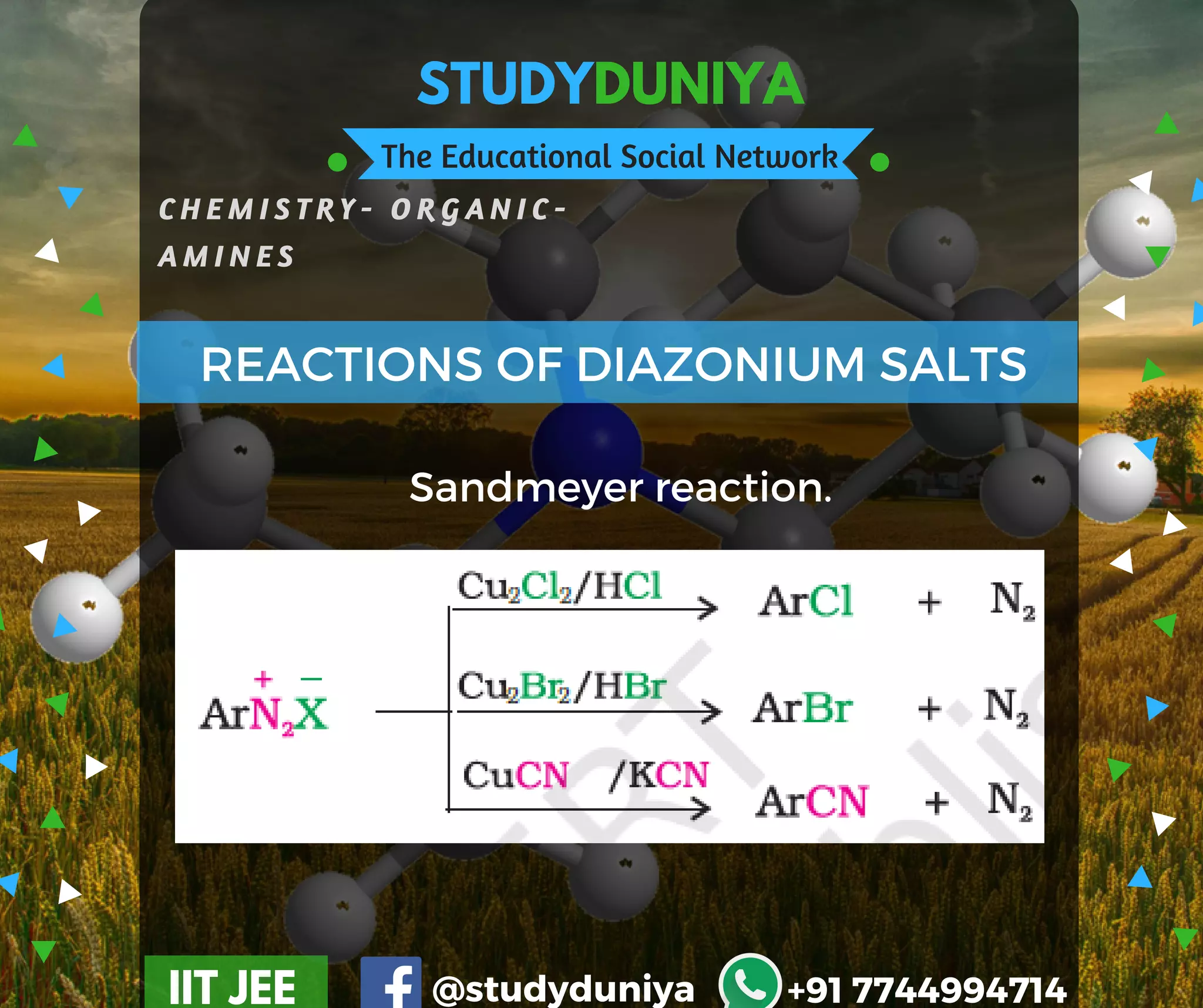 Amines & Diazonium Salts | PDF