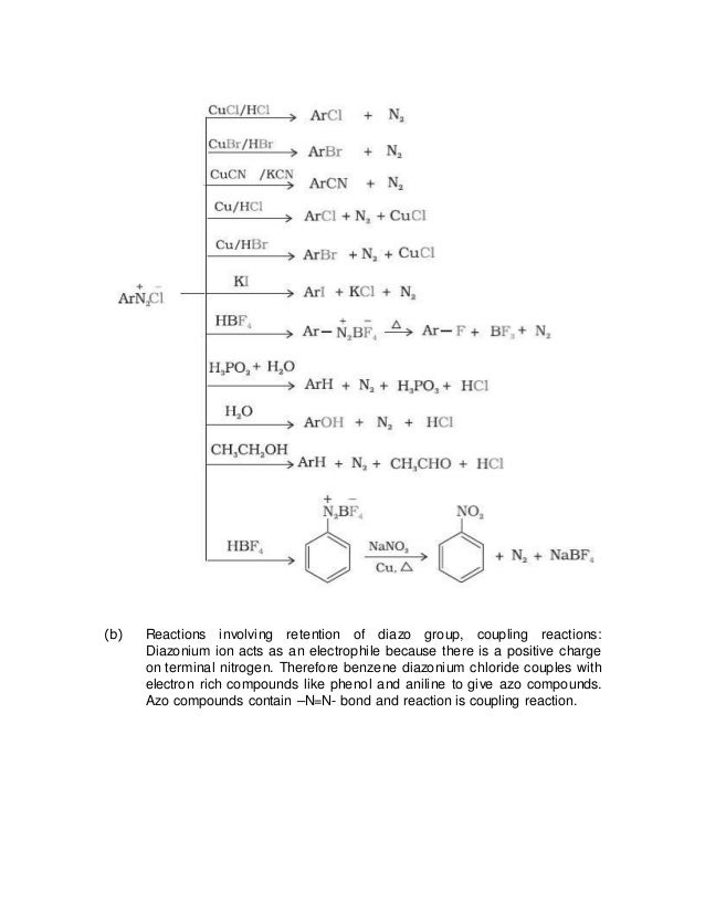 ochem chapter 13 Biology chemistry physics physical science earth science organic chemistry anatomy and physiology health engineering computer science astronomy chapter 13 states of matter section assessment: p387: standardized test prep: p411: chapter 24 the chemistry of life section assessment. ochem chapter 13 Biology chemistry physics physical science earth science organic chemistry anatomy and physiology health engineering computer science astronomy chapter 13 states of matter section assessment: p387: standardized test prep: p411: chapter 24 the chemistry of life section assessment.