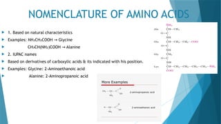 AMINES & AMINO ACIDS.pptx wjhwhbdjhj sbdhbd | PPTX