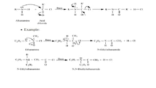 Amines class 12 ppt CBSE